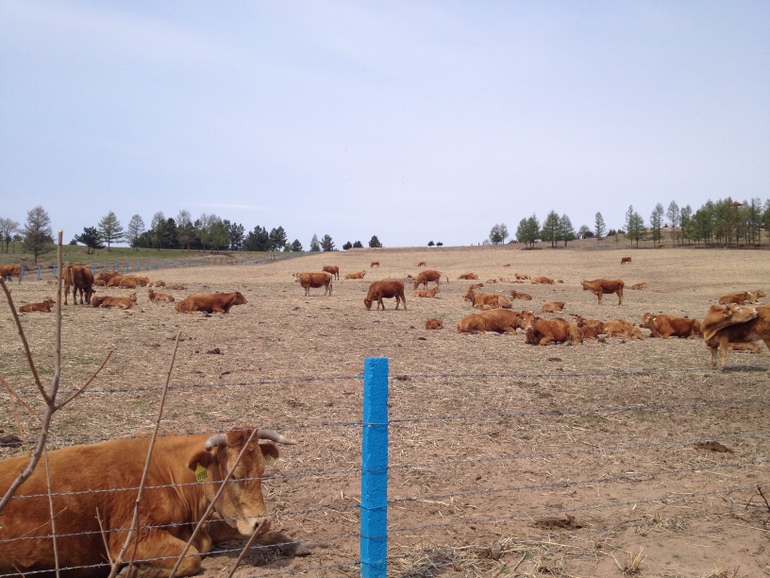 点击查看原图大小