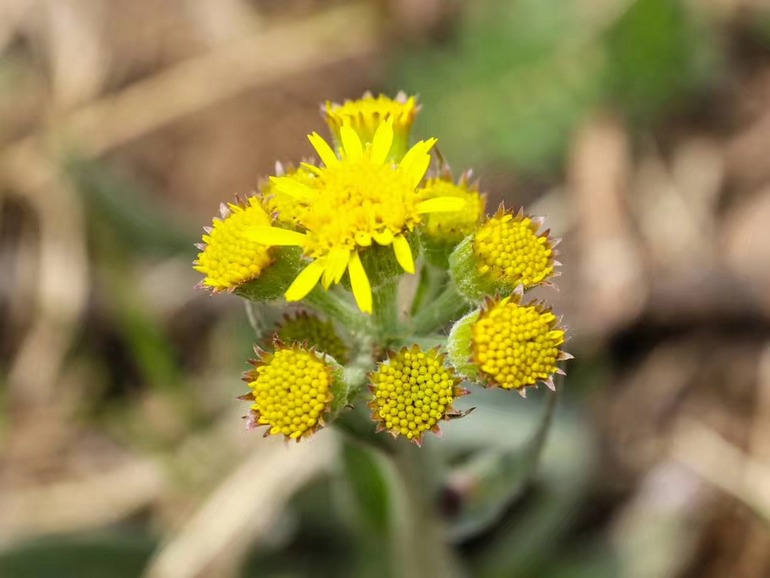 点击查看原图大小