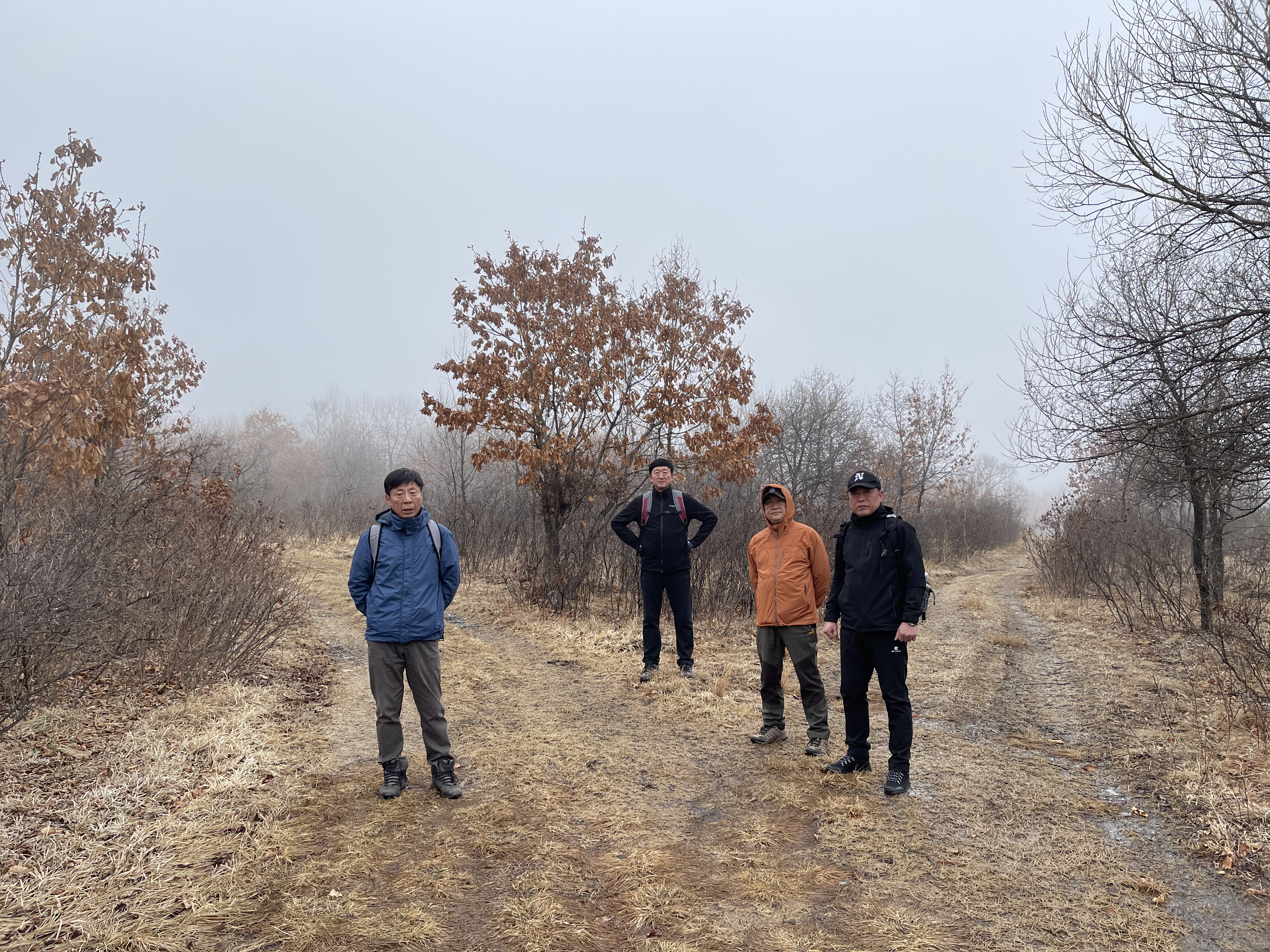 点击查看原图大小