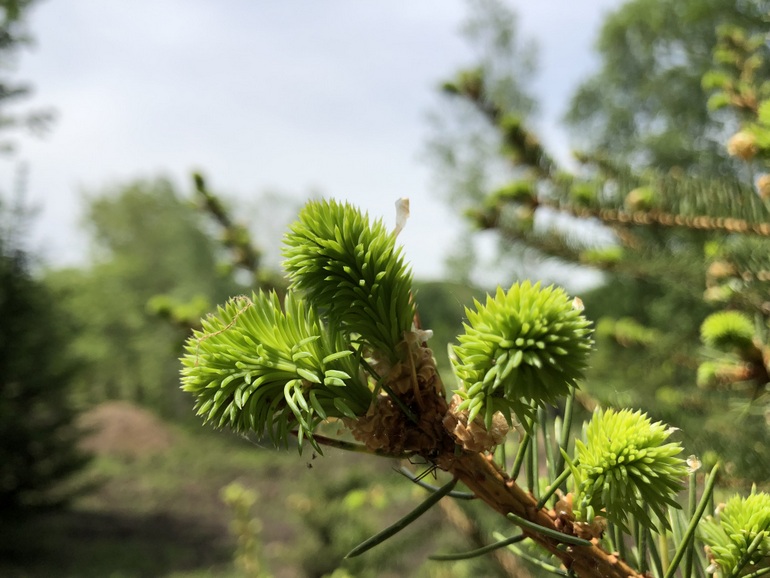 点击查看原图大小