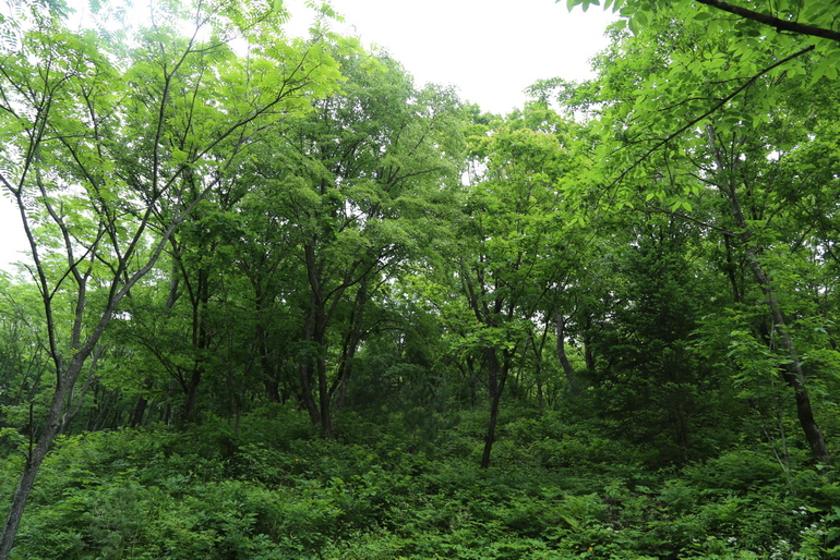 点击查看原图大小