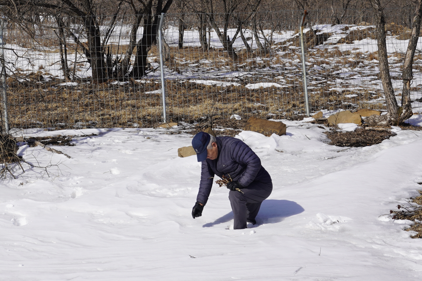 点击查看原图大小