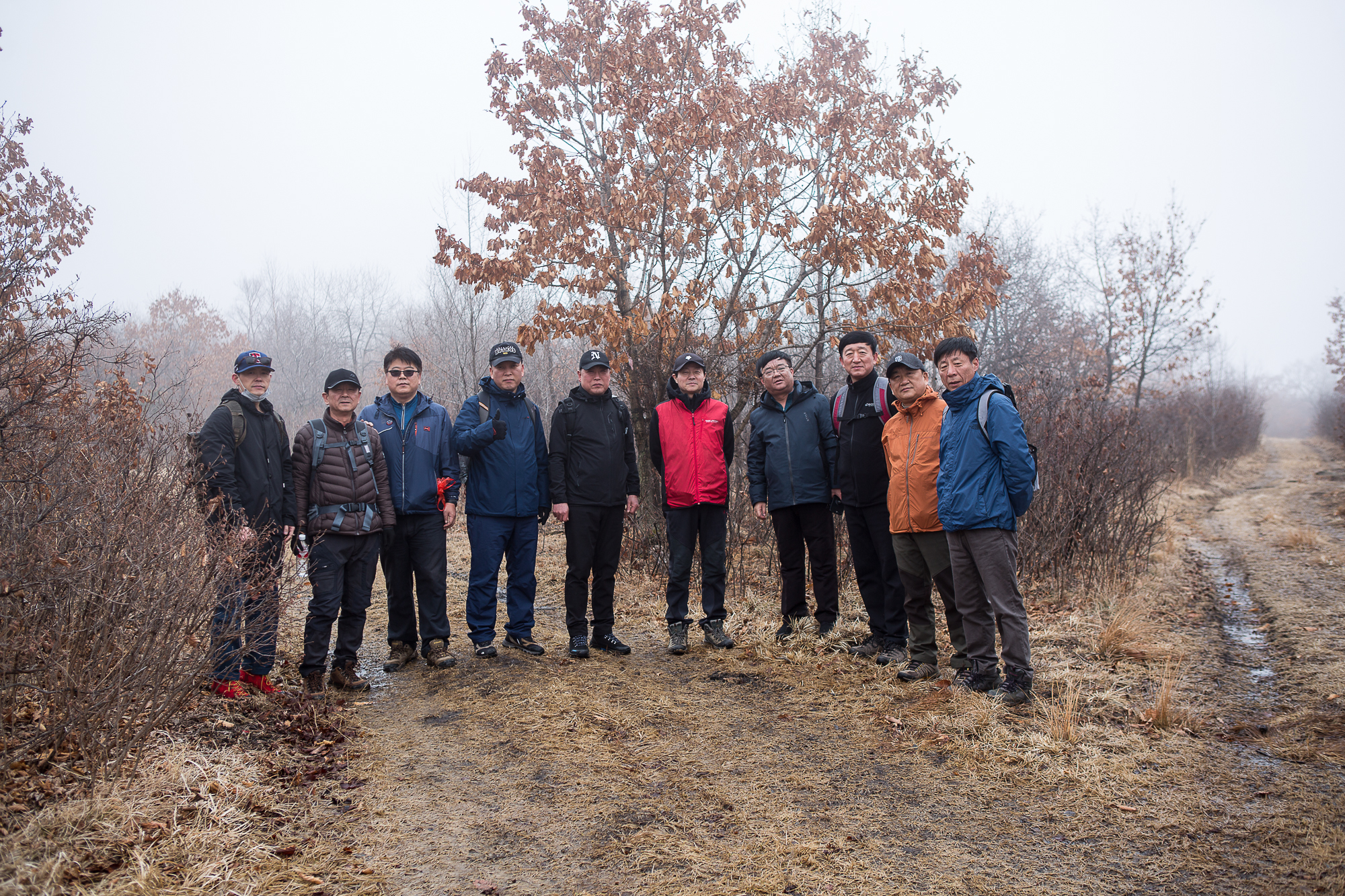 点击查看原图大小