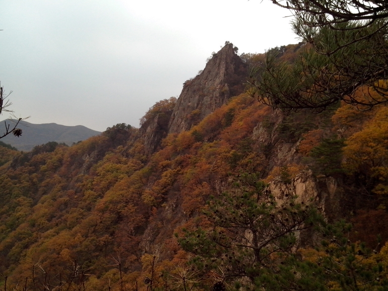 点击查看原图大小