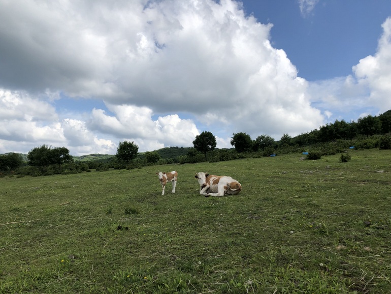 点击查看原图大小