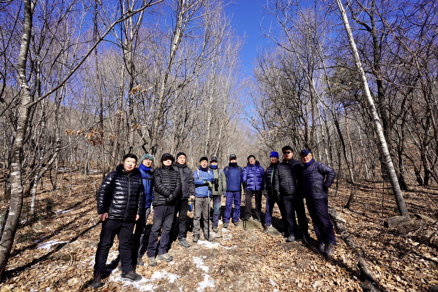 点击查看原图大小