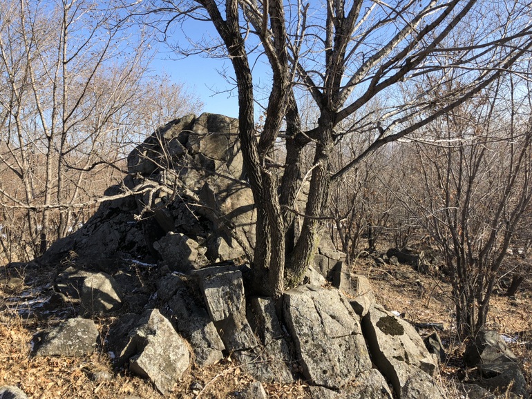 点击查看原图大小