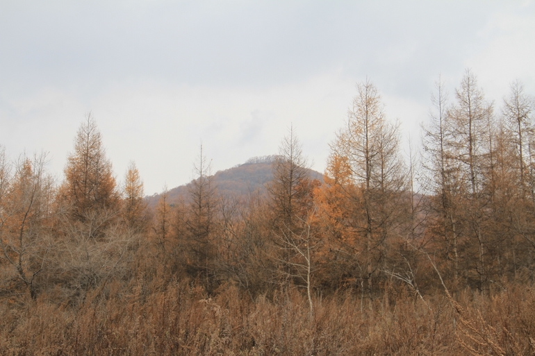 点击查看原图大小