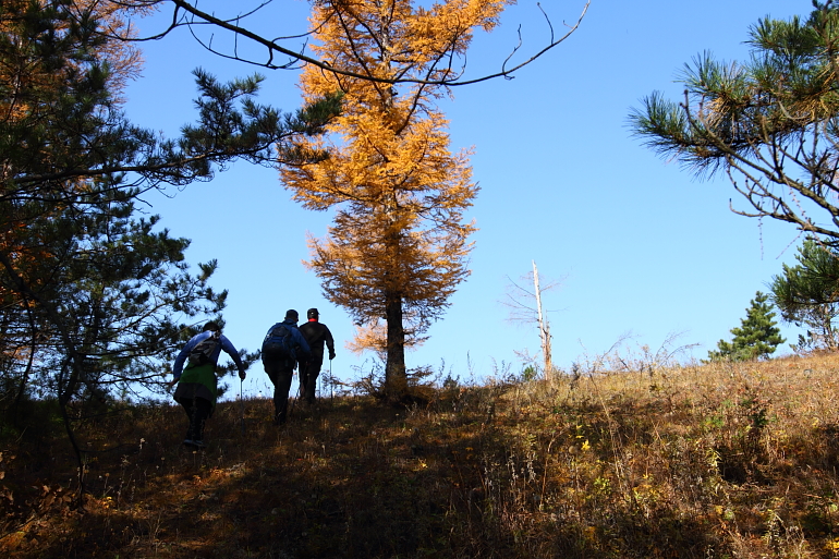 点击查看原图大小