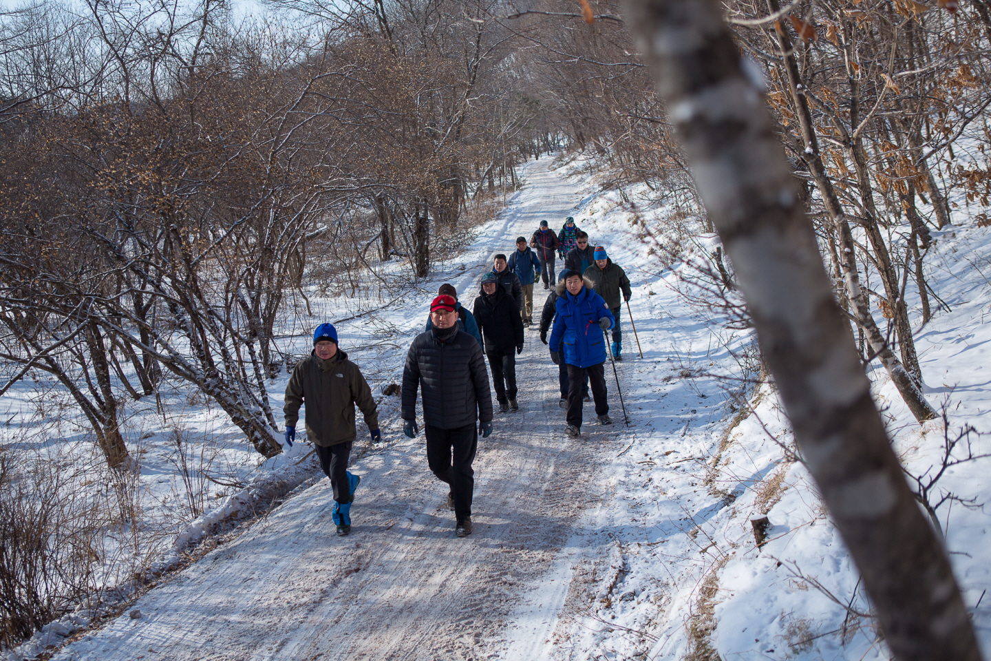 点击查看原图大小