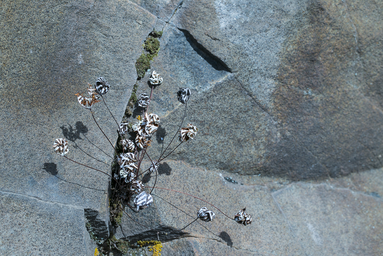 点击查看原图大小