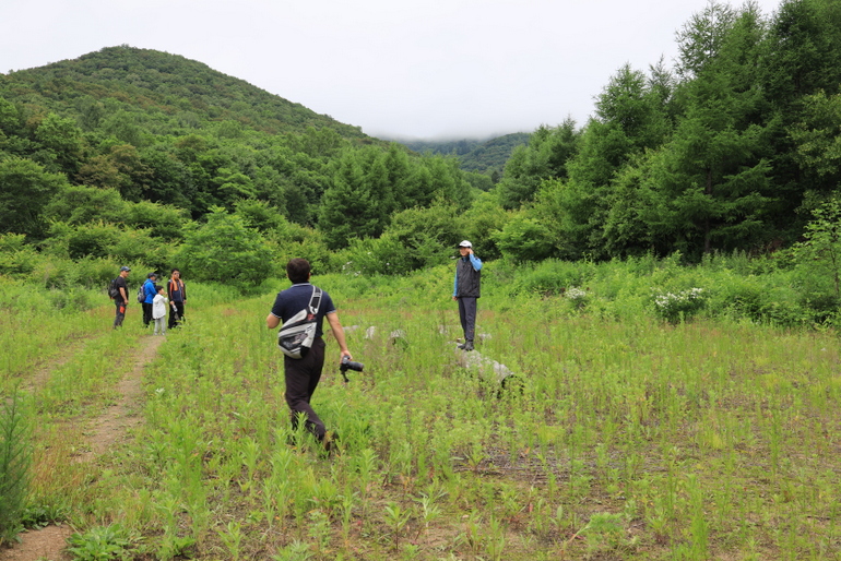 点击查看原图大小