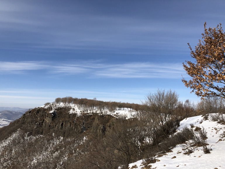 点击查看原图大小