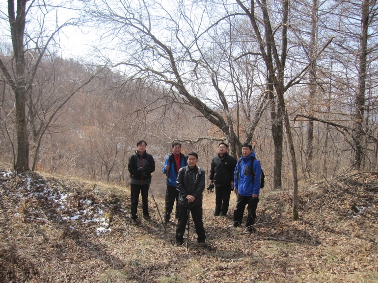 点击查看原图大小