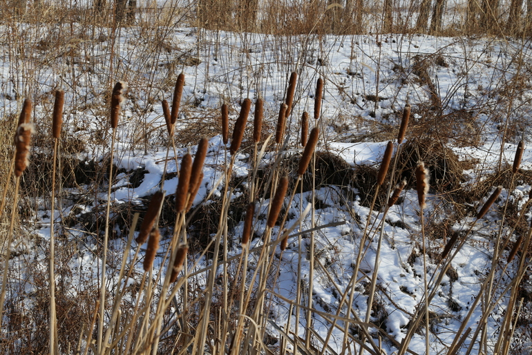 点击查看原图大小