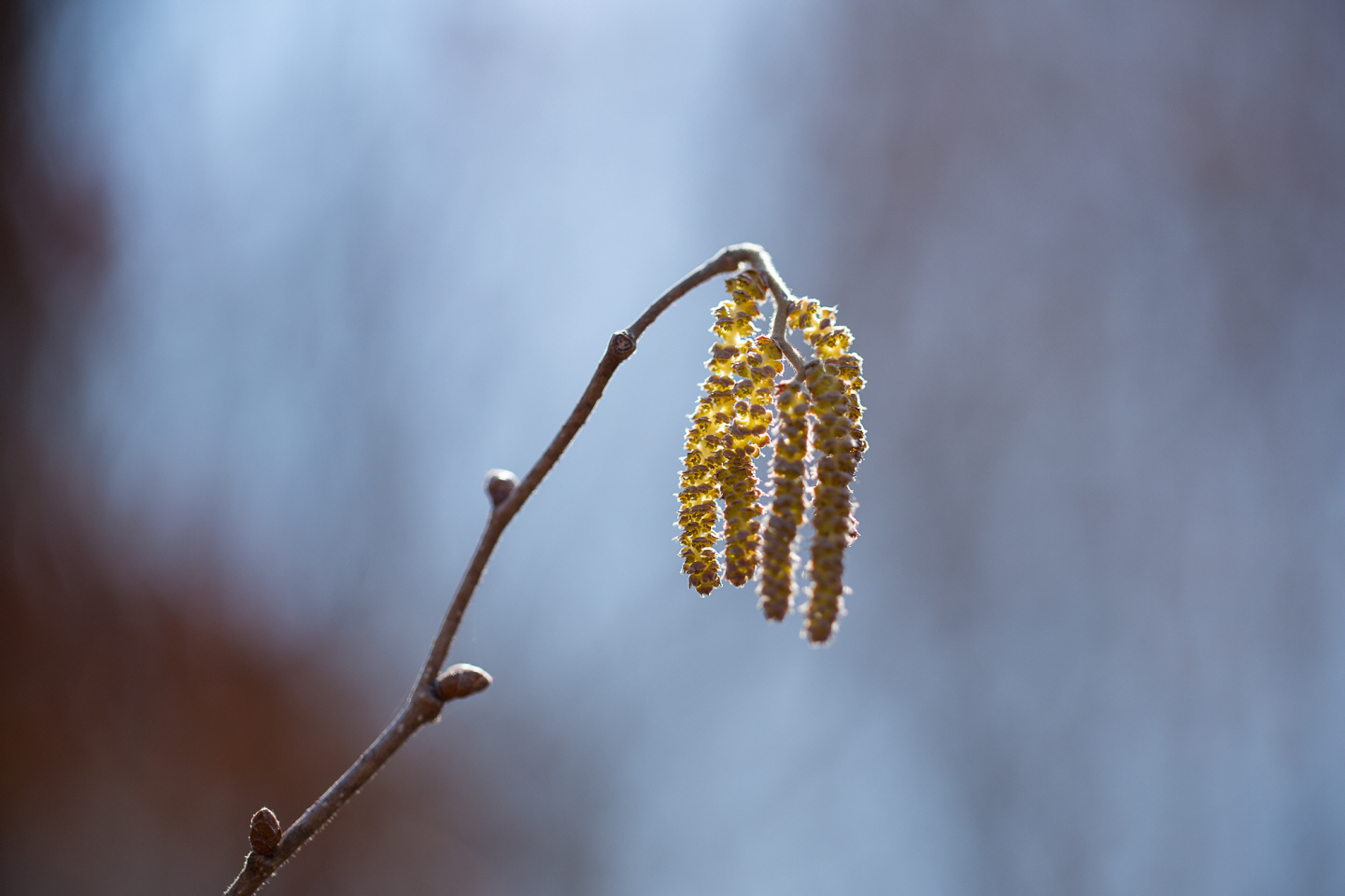 点击查看原图大小