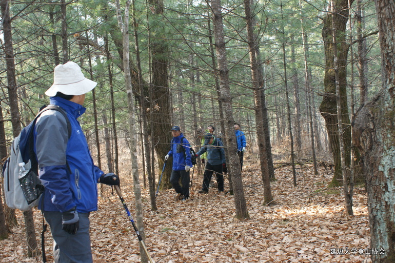 点击查看原图大小