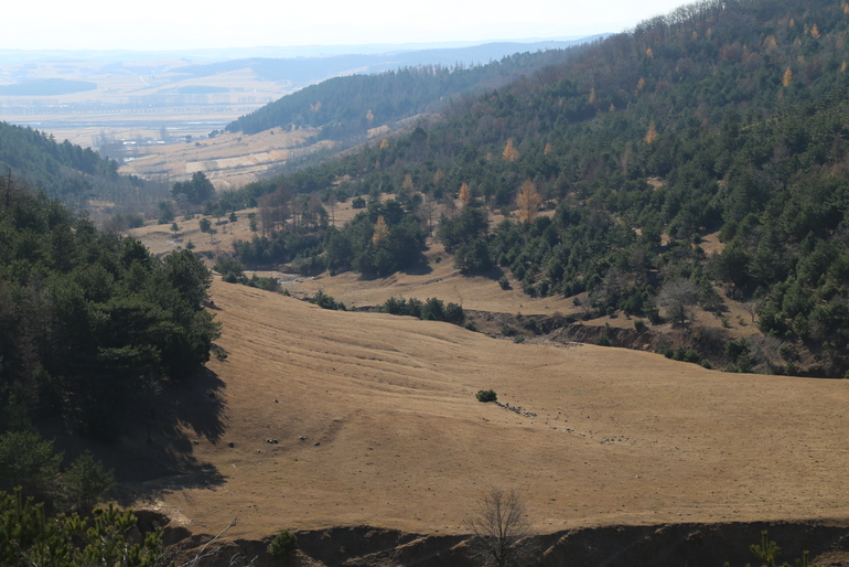 点击查看原图大小