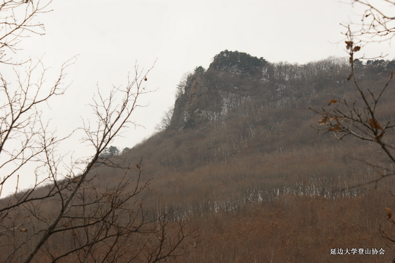 点击查看原图大小