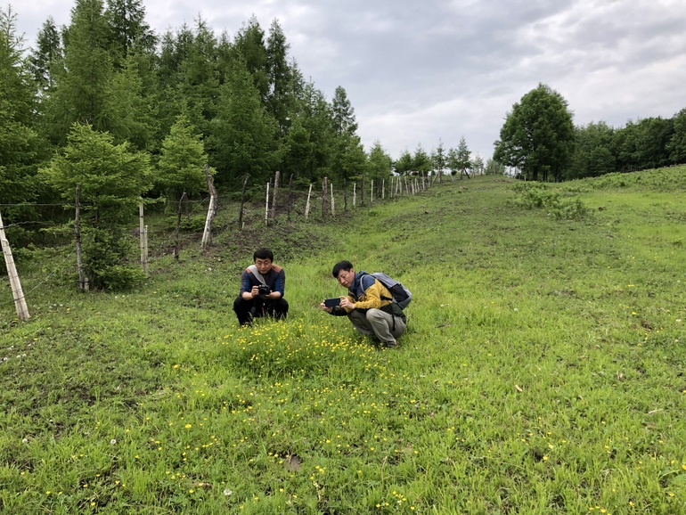 点击查看原图大小