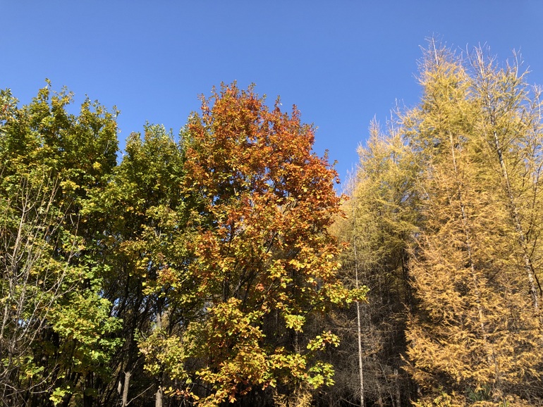 点击查看原图大小