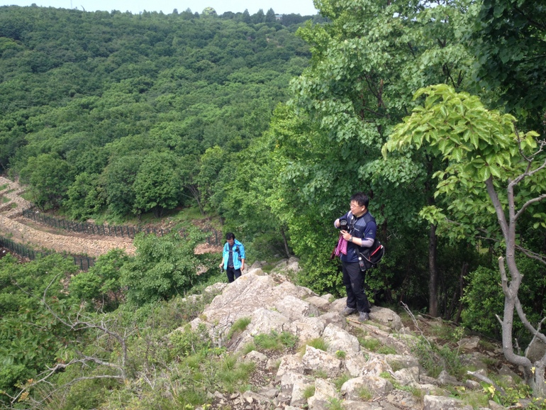 点击查看原图大小