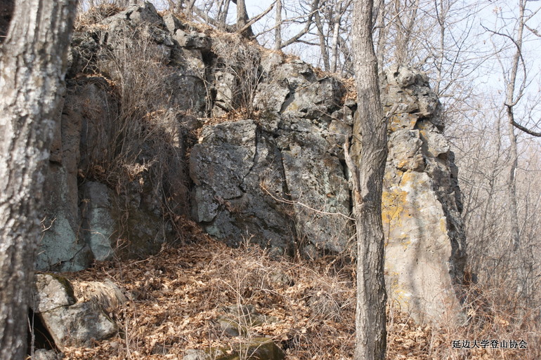 点击查看原图大小