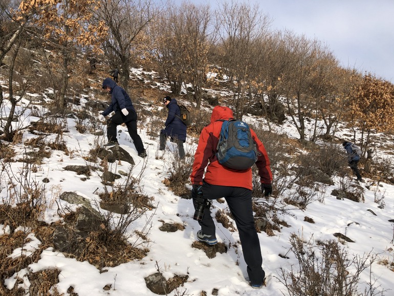 点击查看原图大小