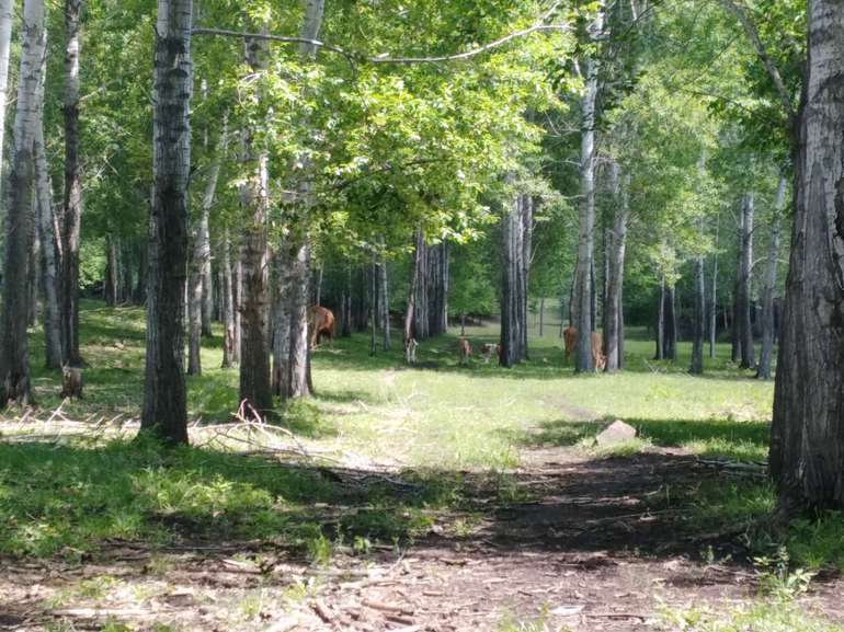 点击查看原图大小