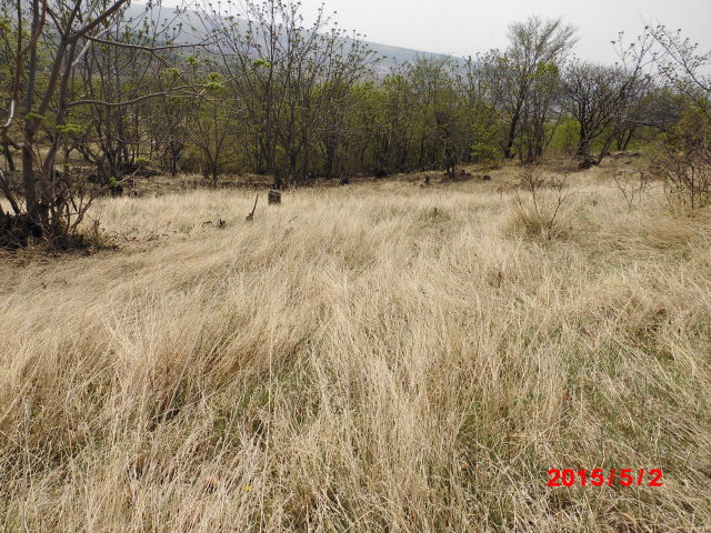 点击查看原图大小