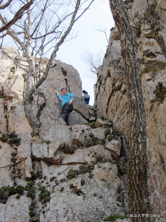 点击查看原图大小