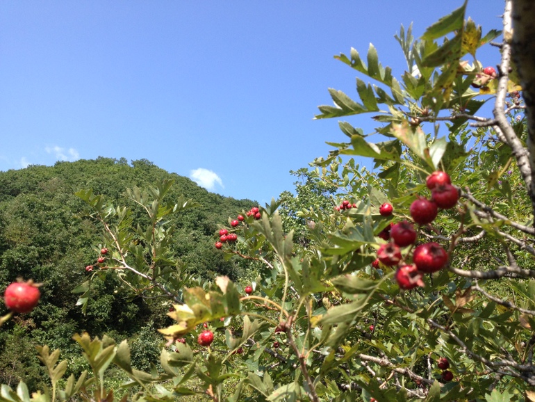 点击查看原图大小