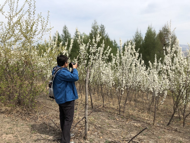 点击查看原图大小