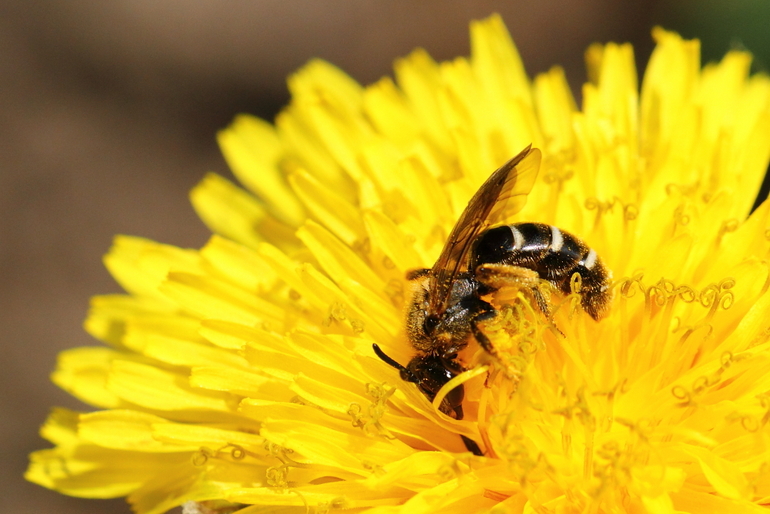 点击查看原图大小