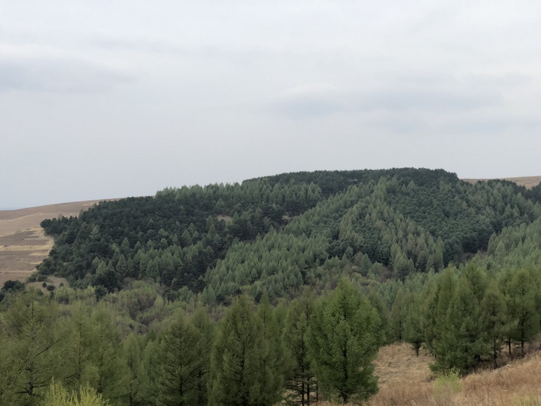 点击查看原图大小