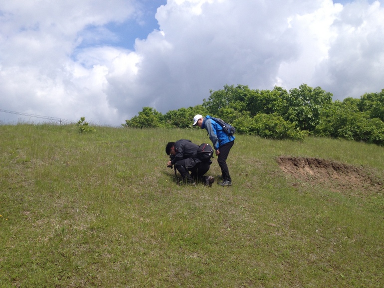 点击查看原图大小