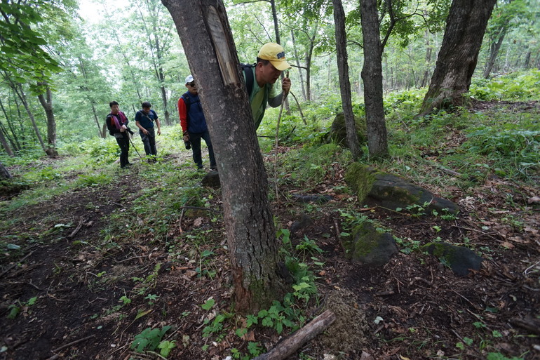 点击查看原图大小