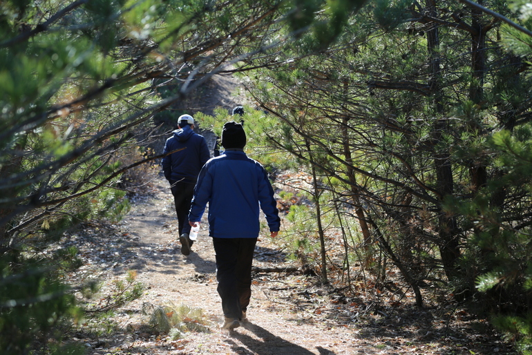 点击查看原图大小