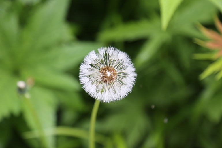 点击查看原图大小