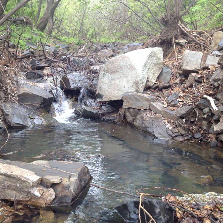 点击查看原图大小