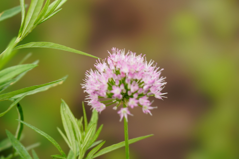 点击查看原图大小