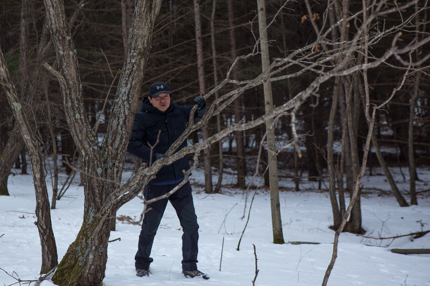 点击查看原图大小