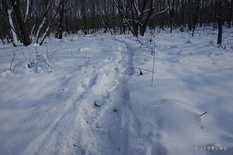 点击查看原图大小