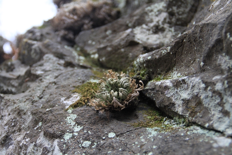 点击查看原图大小