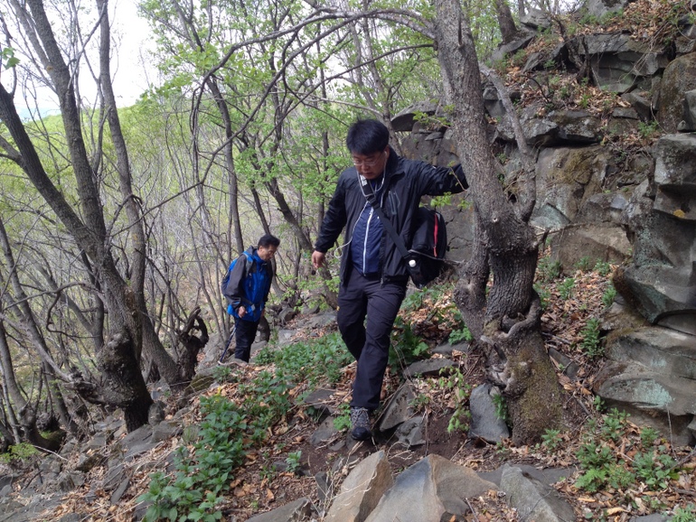 点击查看原图大小