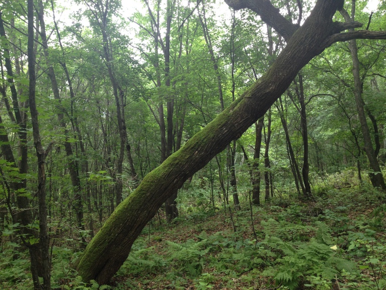 点击查看原图大小