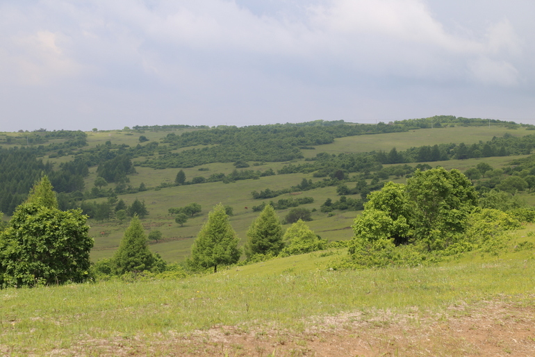 点击查看原图大小