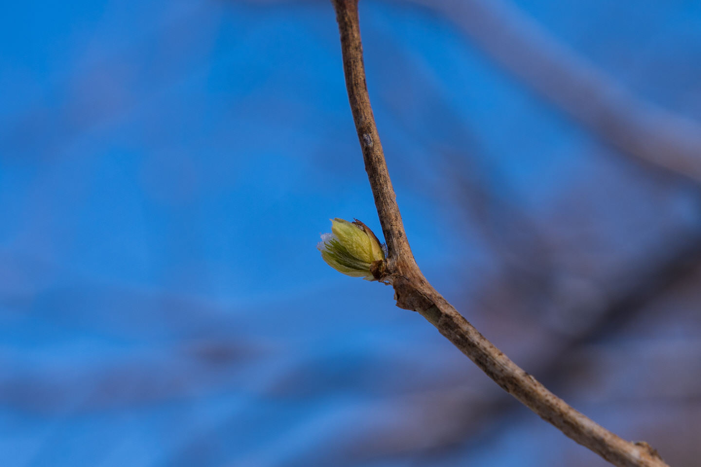 点击查看原图大小