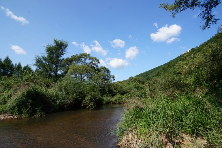 点击查看原图大小