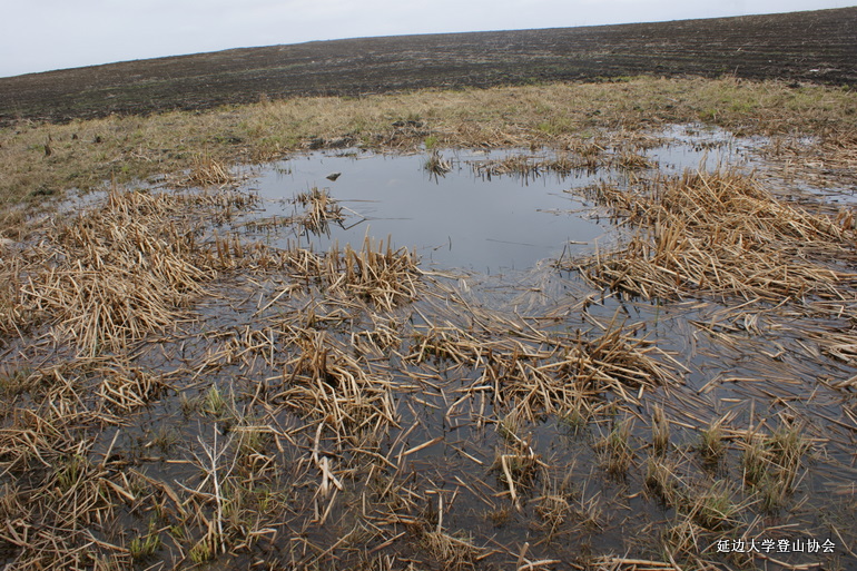 点击查看原图大小